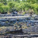 NAM OSHI Etosha 2016NOV27 018 : 2016, 2016 - African Adventures, Africa, Date, Etosha National Park, Month, Namibia, November, Oshikoto, Places, Southern, Trips, Year
